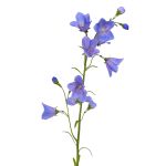 Fleur artificielle Campanule GISELA, bleu, 65cm, Ø1-4cm