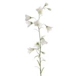 Fleur artificielle Campanule GISELA, blanc, 65cm, Ø5cm