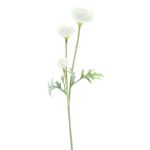Branche artificielle Renoncule TRITO, crème, 35cm