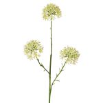 Rameau décoratif d'Allium ALIKIO, blanche, 65cm, Ø7cm