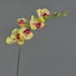 Orchidée Phalaenopsis artificielle DAJANA, jaune-fuchsia, 80cm, Ø6-11cm