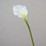 Calla artificiel PEPITA, blanc, 55cm, 7x11cm