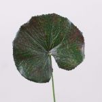 Feuille de géranium artificiel HEIDEGARD, vert-rouge, 38cm, Ø11cm