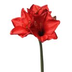 Amaryllis artificiel BENITA, rouge, 55cm, Ø10cm