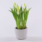 Fleur décorative Muscari NARMADA dans un pot en ciment, blanc, 20cm