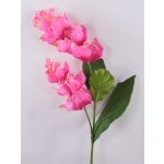 Branche fleurie décorative Medinilla LASENTER, rose, 110cm