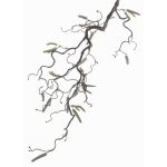 Branche de noisetier décorative XANCHO, brun, 65cm, Ø0,5cm