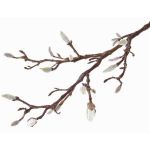 Branche décorative de magnolia ASANI, blanc, 70cm