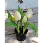 Kunsttulpe CAITLYN im Dekotopf, weiß-grün, 25cm, Ø2-6cm