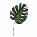 Feuille artificielle de Philodendron Monstera Deliciosa UMBERTO, 55cm