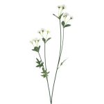 Branche artificielle Pâquerette KASANI, crème, 60cm