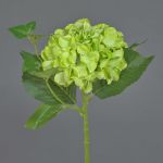 Fleur décorative Hortensia VOSTE, vert, 45cm