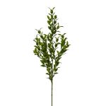 Branche artificielle de fragon petit-houx SNERLO, vert, 70cm