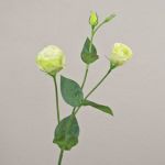 Branche de lisianthus artificielle RINARA, crème-vert, 65cm