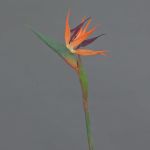 Dekoblume Strelitzie WEIYU, orange-violett, 60cm, 10x13cm