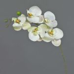 Kunstzweig Phalaenopsis Orchidee SONGYA, weiß-grün, 50cm, Ø6-7cm
