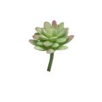 Fleur décorative Sedum rubrotinctum AOLUO sur tige, vert-rouge, 16cm