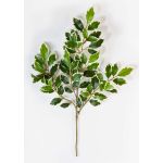 Branche artificielle de ficus Benjamini AJITH, vert-blanc, 45cm
