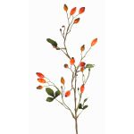 Rameau décoratif de rosier sauvage ZERBST avec des cynorrhodons, orange-rouge, 80cm