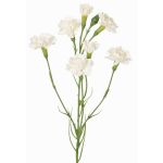 Branche de fleur artificielle œillet PIARA, blanche, 60cm, Ø3-5cm