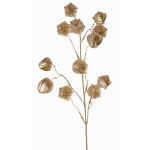 Branche décorative de physalis DUGONG avec fruits, or, 90cm