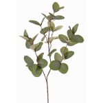 Branche d'eucalyptus synthétique EMMENDA, verte, 80cm