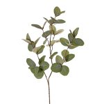 Branche d'eucalyptus synthétique EMMENDA, verte, 80cm