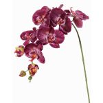 Branche fleurie artificielle Orchidée Phalaenopsis WESA, violet foncé-blanc, 90cm, Ø11-12,5cm