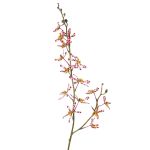 Branche florale artificielle Orchidée Cattleya TRASSA, violet-blanc-jaune, 80cm, Ø4-8cm