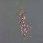 Branche florale artificielle Orchidée Cattleya TRASSA, fuchsia-blanc-jaune, 80cm