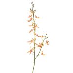 Branche florale artificielle Orchidée Cattleya TRASSA, orange-jaune-rouge, 80cm, Ø4-8cm