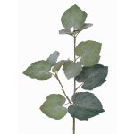 Branche artificielle de tilleul NADJA, 50cm