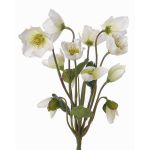 Héllébore artificielle HALLA à planter, blanc, 30cm, Ø7cm