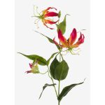 Fleur textile Gloriosa FUJITA, rose-jaune, 80cm, Ø15cm
