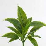 Cordyline artificielle VALDA à piquer, vert-blanc, 30cm