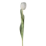 Fleur artificielle Tulipe GUSNAV, blanc, 50cm, Ø5cm