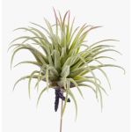 Fausse plante Tillandsia Rubra PENNY, à piquer, vert-rouge, 12cm, Ø10cm