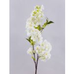 Fleur artificielle: branche de cerisier MATSUDA avec fleurs, crème-blanc, 80cm, Ø6-11cm