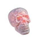 Élément décoratif d'Halloween Tête de mort MORTY avec fonction sonore, LED, 30x23cm