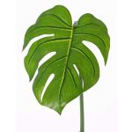 Feuille artificielle de Philodendron Monstera Deliciosa LANDER, 55cm