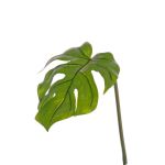 Feuille artificielle de Philodendron Monstera Deliciosa LANDER, 55cm