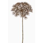 Fausse fleur Berce du Caucase ANSARI, marron, 80cm, Ø22cm