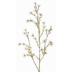 Fleur de cire artificielle NIANG, crème, 80cm, Ø1,5-2,5cm