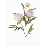 Pivoine artificielle sur tige MANJA, blanc, 70cm, Ø8-10cm
