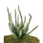 Fleur artificielle bruyère IMKE à planter, crème, 25cm, Ø1cm