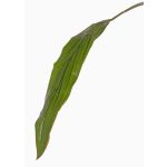 Feuille de cordyline décorative ELARA, vert, 90cm