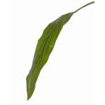 Feuille de cordyline décorative ELARA, vert, 90cm