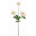Chrysanthème décoratif SOLVIE, blanc-jaune, 75cm, Ø11-12cm