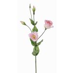 Fleur artificielle Lisianthus JUDIKA, rose-blanc-vert, 70cm, Ø6-7cm
