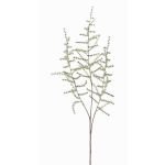 Branche d'Asparagus acutifolius artificielle JOCHEN, vert, 70cm